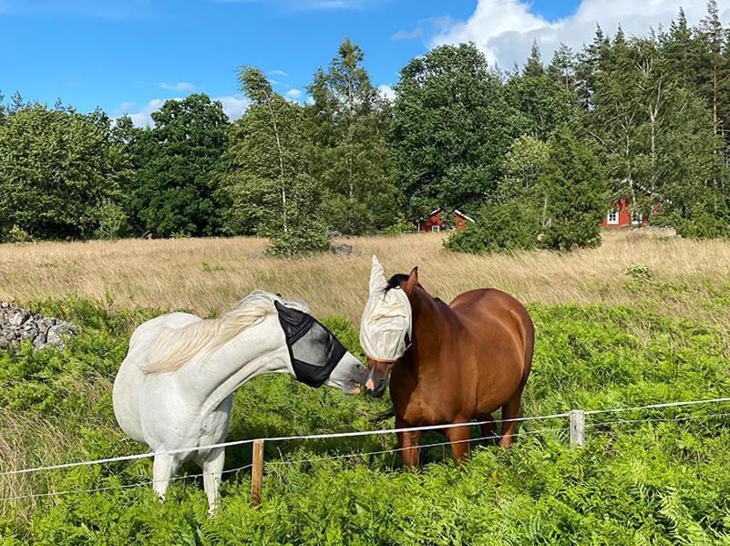 Vimmerby Stugby Exterior foto